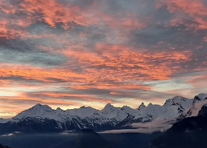 Melezes S 040 - Lift 6 Pers 베이소나츠